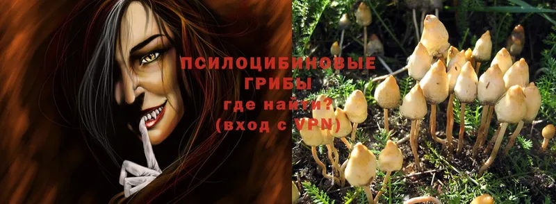 что такое наркотик  Киров  Псилоцибиновые грибы Psilocybine cubensis 